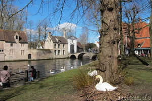 begijnhof-in-bruegge-belgien-19584-800