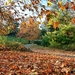 autumn-3004502_960_720