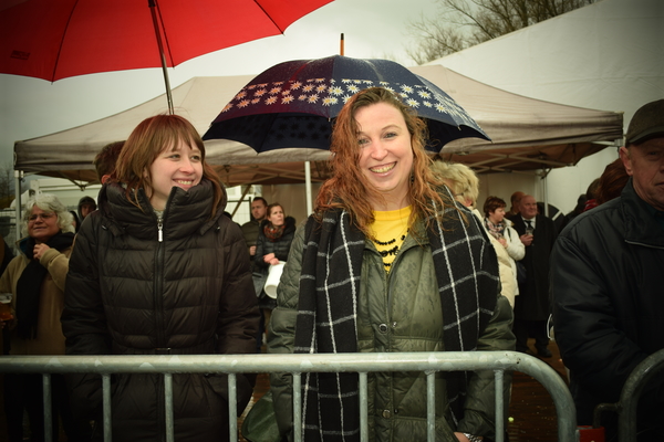 carnaval merelbeke 2016 156