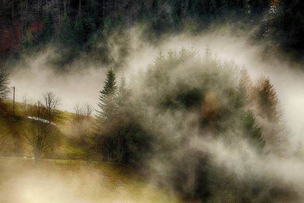 fog-3068181_960_720