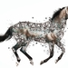 horse-3213024_960_720