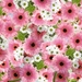 gerbera-2630891_960_720