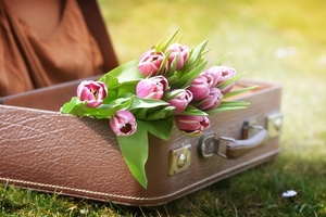 luggage-2136151_960_720