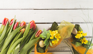 Holidays_Easter_Tulips_Primula_Wood_planks_Eggs_543752_1024x600