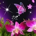 butterfly-with-flower-10