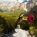 thumb-1920-571419