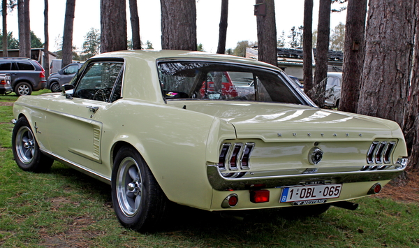 IMG_1328_2024-10-20_RAMc_Afsluitingsrit_@Glabeek_1967-Ford-Mustan