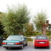 IMG_1331_2024-10-20_RAMc_Afsluitingsrit_@Glabeek_Mercedes-380-se)