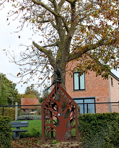 IMG_1346_2024-10-20_RAMc_Afsluitingsrit_onderweg_