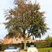 IMG_1371_2024-10-20_RAMc_Afsluitingsrit_onderweg_Mercedes_wit_OBE