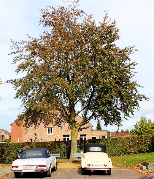 IMG_1371_2024-10-20_RAMc_Afsluitingsrit_onderweg_Mercedes_wit_OBE
