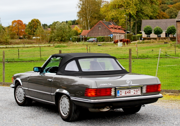IMG_1455_2024-10-20_RAMc_Afsluitingsrit_@Glabeek_Mercedes-280-SL_