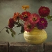 thumb-1920-841524