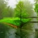 thumb-1920-701567