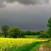 thumb-1920-706914