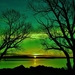 thumb-1920-832048