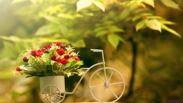 bike-flower-basket_808263719