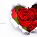 red-roses-forever_931601143