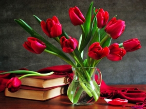 red-tulips_674278273