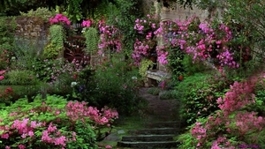 stairs-in-flower-garden_397402511