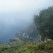 DSCF7911