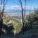 IMG_20240929_131016909_HDR