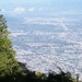 DSCF7916