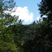 DSCF7921