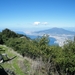 DSCF7932