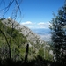 DSCF7936