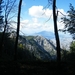 DSCF7954