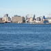 DSCF7982