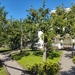 IMG_20241001_112613088_HDR
