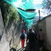 DSCF7991