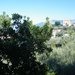DSCF7992