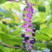 DSCF8002
