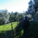 DSCF8005