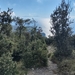 IMG_20241002_103101668_HDR