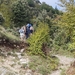 IMG_20241002_110638904