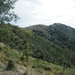 DSCF8017