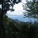 DSCF8036