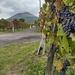 IMG_20241003_120201188_HDR