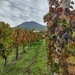 IMG_20241003_134440676_HDR