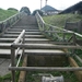 DSCF8044