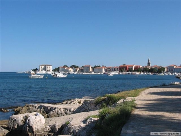 Bosnië 81    Porec (Small)