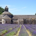 abbaye-de-senanque-1595652_960_720