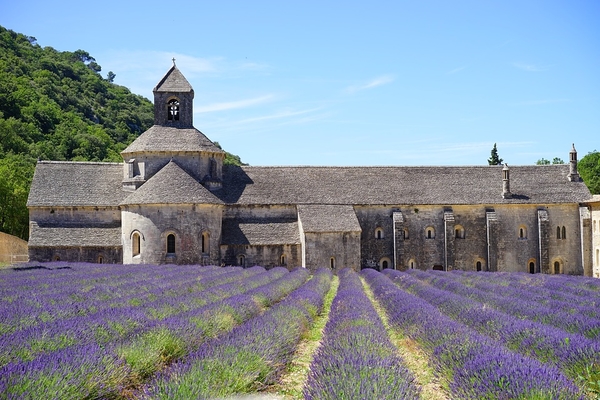 abbaye-de-senanque-1595652_960_720