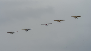 20240727DSC08184