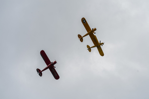 20240727DSC08188