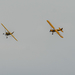 20240727DSC08192